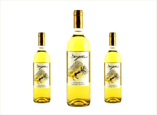 Automatinė vyno ženklinimo mašina 5000-8000 B/H Kiekio servo variklis